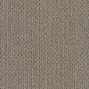 DSW.MERA Tuftex Mera Carpet