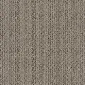DSW.MERA Tuftex Mera Carpet