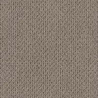 DSW.MERA Tuftex Mera Carpet