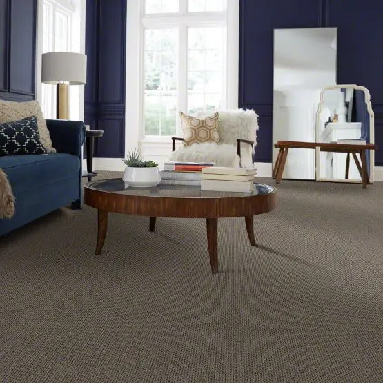 DSW.MERA Tuftex Mera Carpet-2