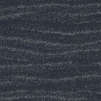 DSW.POSE Tuftex Pose Carpet-1