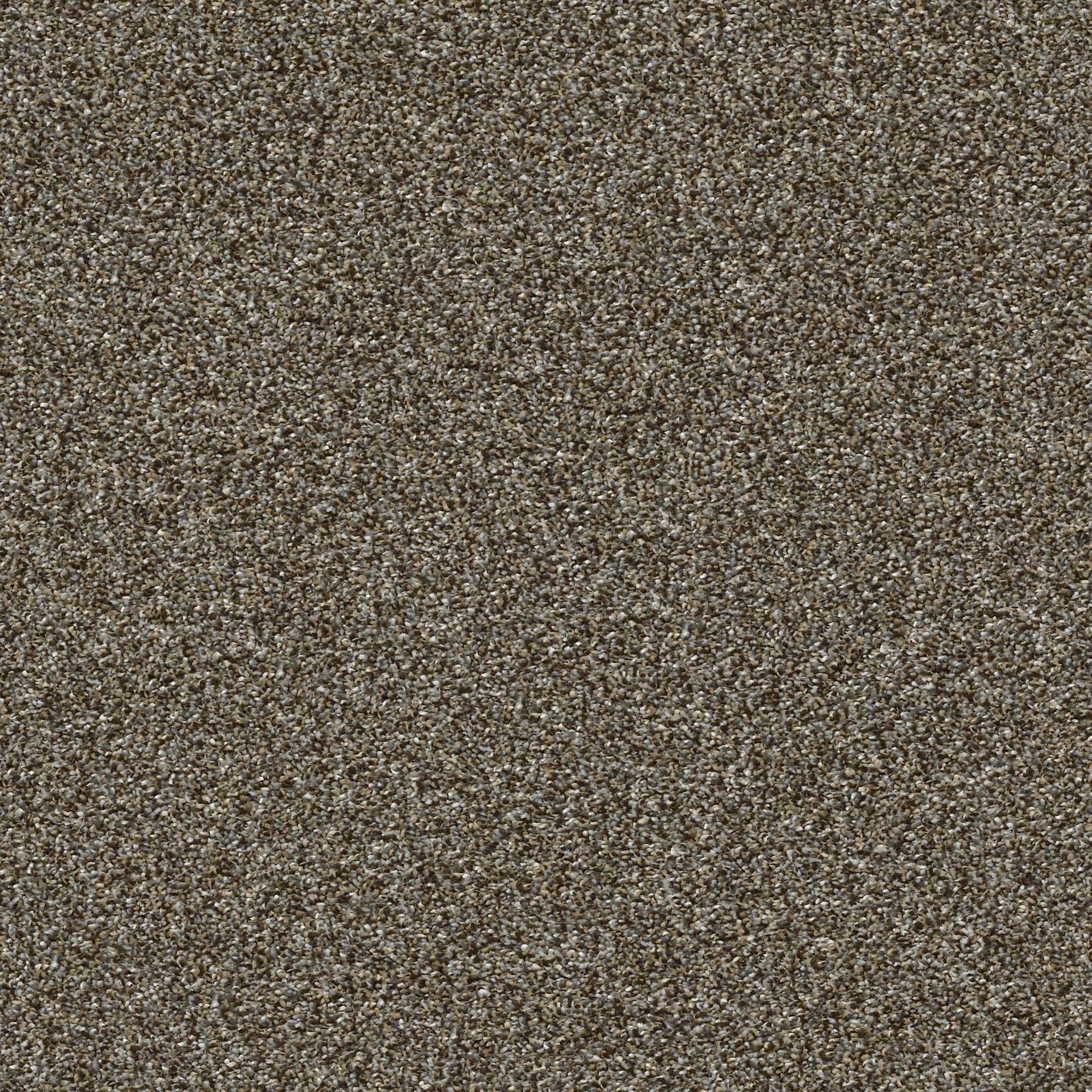 QUE.MY.AGENDA.I Shaw My Agenda I Carpet-2