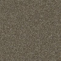 QUE.MY.AGENDA.I Shaw My Agenda I Carpet-2
