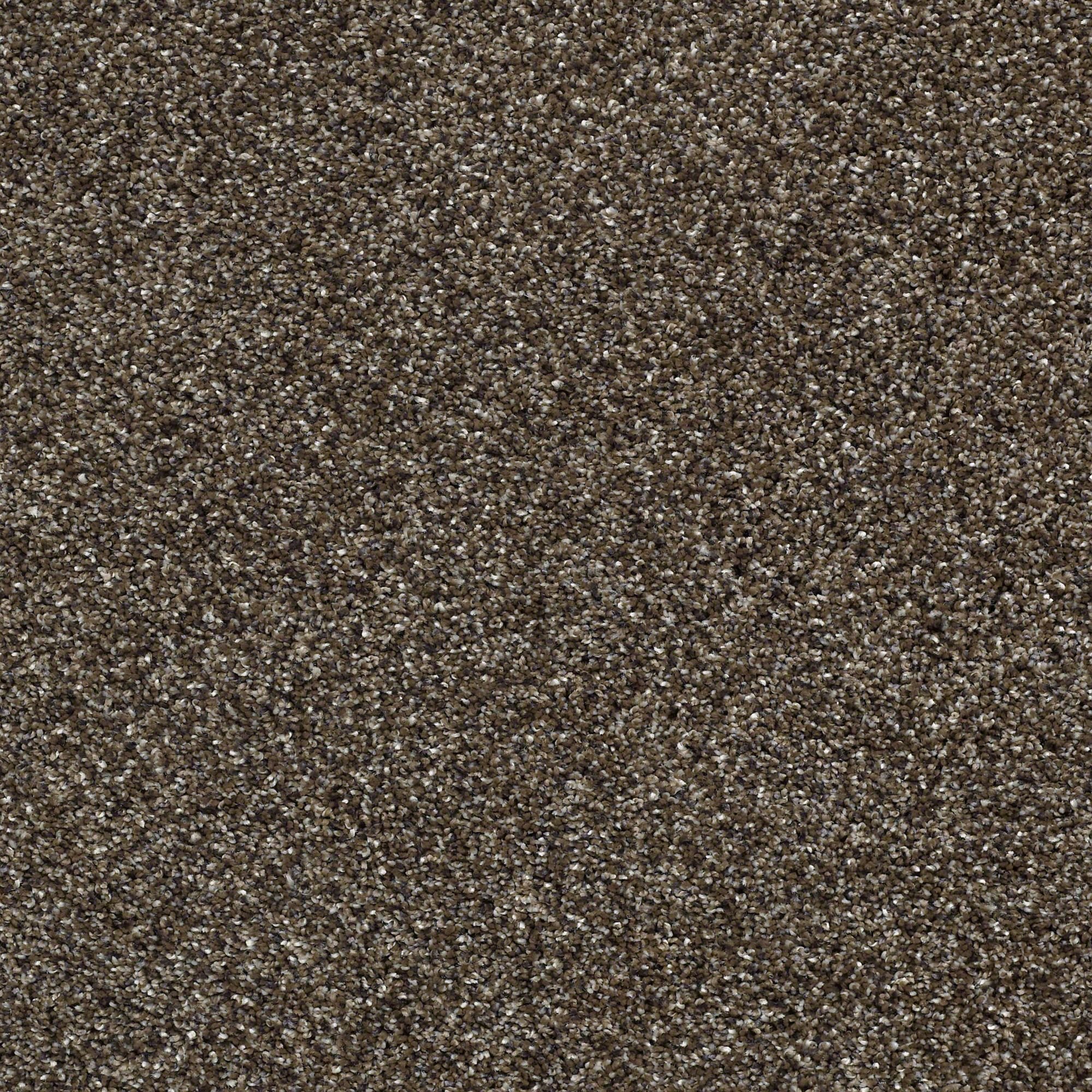 QUE.OBVIOUSLY.I Shaw Obviously I Carpet-1