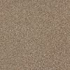 QUE.JUST.A.TOUCH.I Shaw Just A Touch 1 Carpet