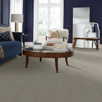 QUE.JUST.A.TOUCH.I Shaw Just A Touch 1 Carpet-2