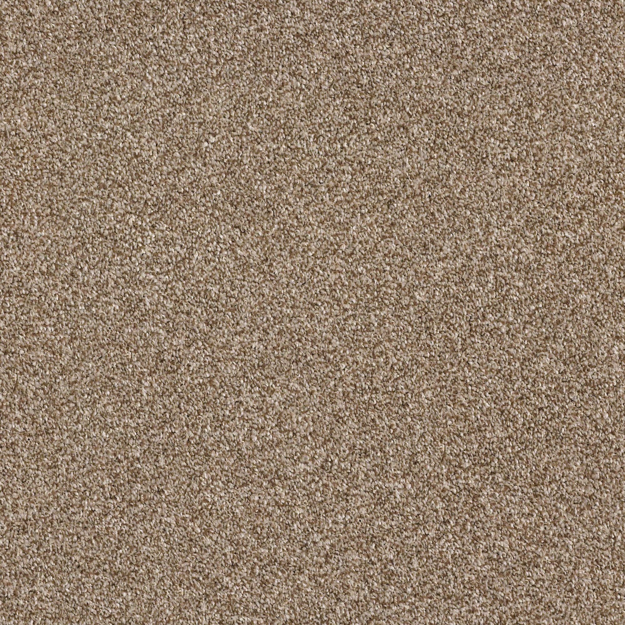 QUE.JUST.A.TOUCH.I Shaw Just A Touch I Carpet-1