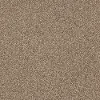 QUE.JUST.A.TOUCH.I Shaw Just A Touch I Carpet