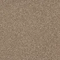 QUE.JUST.A.TOUCH.I Shaw Just A Touch I Carpet