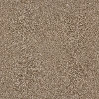 QUE.JUST.A.TOUCH.I Shaw Just A Touch I Carpet