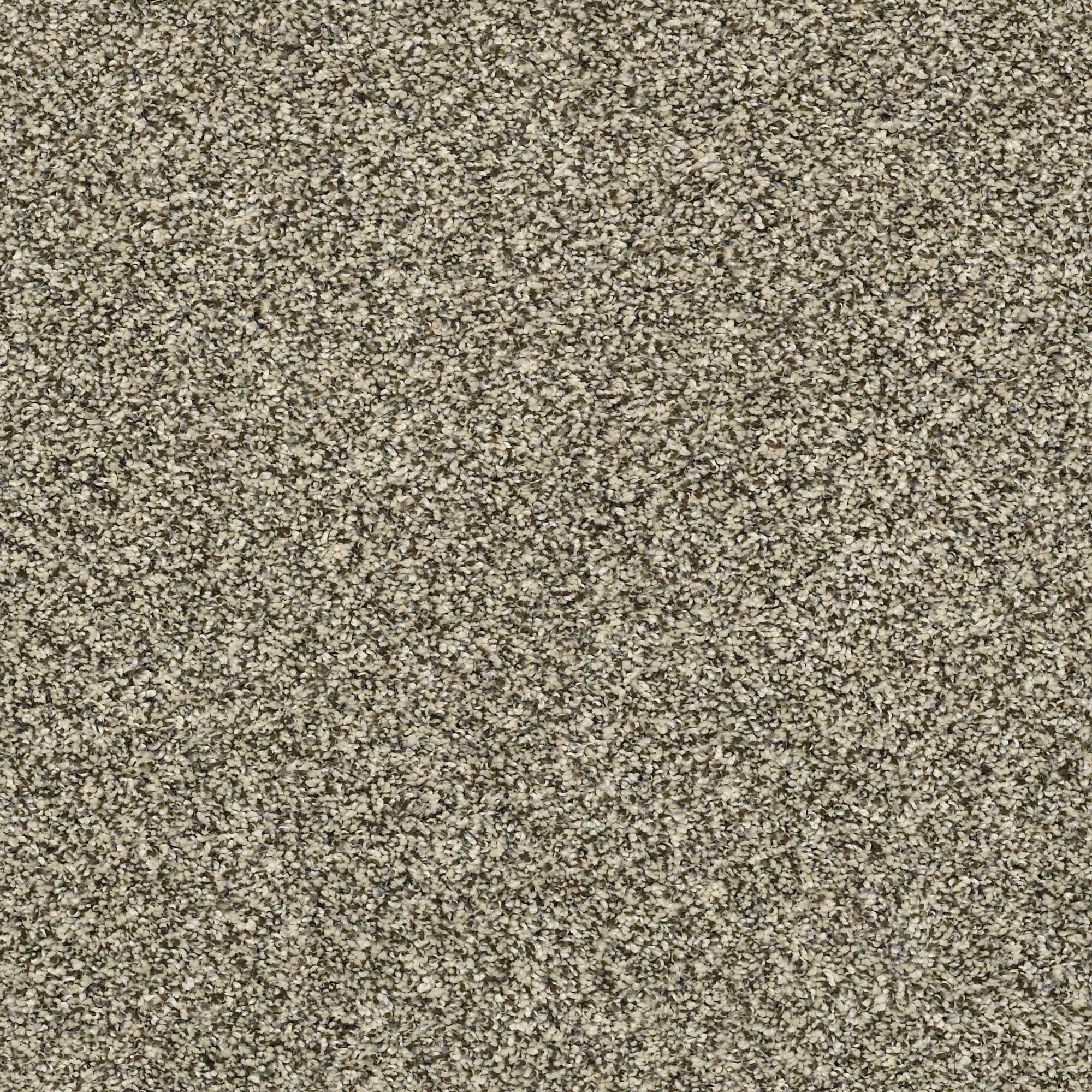 QUE.OBVIOUSLY.II Shaw Obviously II Carpet-1