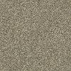 QUE.OBVIOUSLY.II Shaw Obviously II Carpet