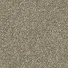 QUE.OBVIOUSLY.II Shaw Obviously II Carpet