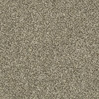 QUE.OBVIOUSLY.II Shaw Obviously II Carpet