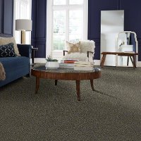QUE.OBVIOUSLY.II Shaw Obviously II Carpet-2
