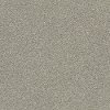 QUE.RULE.BREAKER Shaw Bellera Rule Breaker Carpet