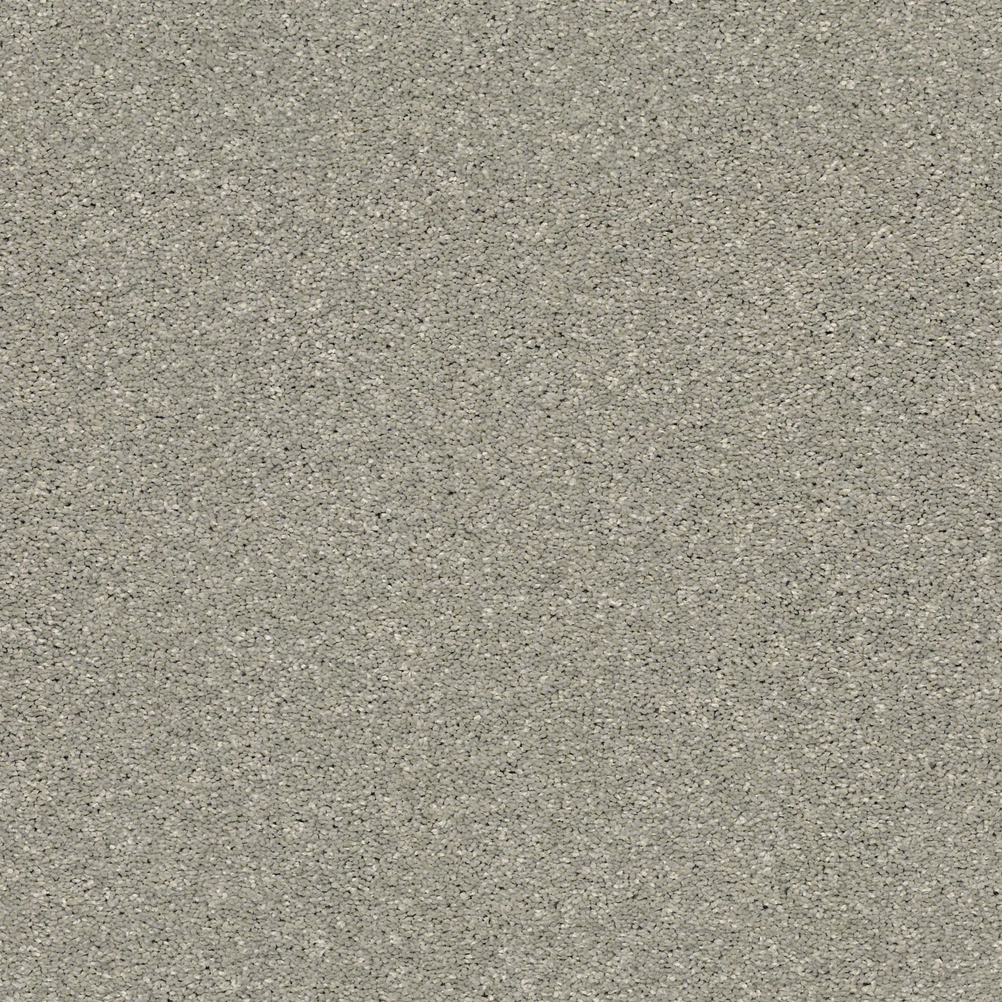 QUE.RULE.BREAKER Shaw Rule Breaker Carpet-1