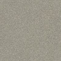 QUE.RULE.BREAKER Shaw Rule Breaker Carpet