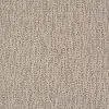 QUE.TOP.PICK Shaw Top Pick Carpet