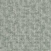 QUE.STAR.GAZER Shaw Star Gazer Carpet
