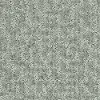 QUE.STAR.GAZER Shaw Star Gazer Carpet