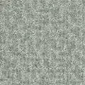 QUE.STAR.GAZER Shaw Star Gazer Carpet