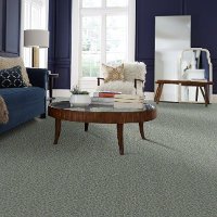 QUE.STAR.GAZER Shaw Star Gazer Carpet-2