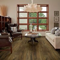 Shaw Titan HD Plus Luxury Vinyl Plank Flooring - 9 x 72 Inch