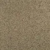 KAR.STRIKING.SPLENDOR Karastan Striking Splendor Carpet