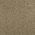 KAR.STRIKING.SPLENDOR Karastan Striking Splendor Carpet
