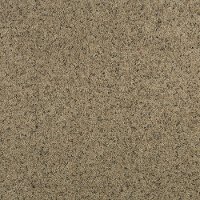 KAR.STRIKING.SPLENDOR Karastan Striking Splendor Carpet