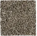 Mohawk Cozy II Carpet