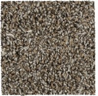 Mohawk Cozy II Carpet