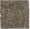 ALA.COZY.II.STOCK Mowhawk Cozy II Carpet