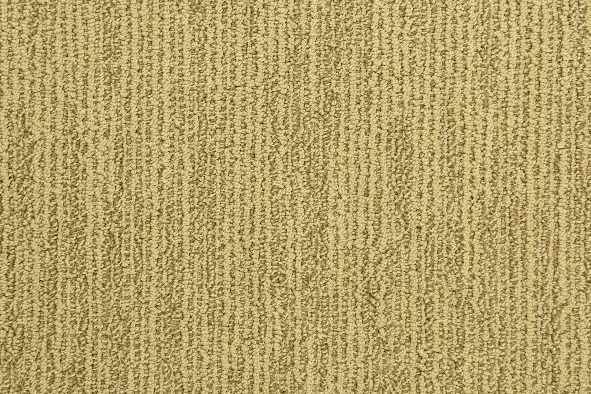 BRE.BRAVERY Dixie Home Bravery Carpet-1