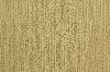 BRE.BRAVERY Dixie Home Bravery Carpet