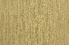 BRE.BRAVERY Dixie Home Bravery Carpet