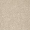 PHL.COLOR.EXPRESS.I Shaw Color Express Carpet