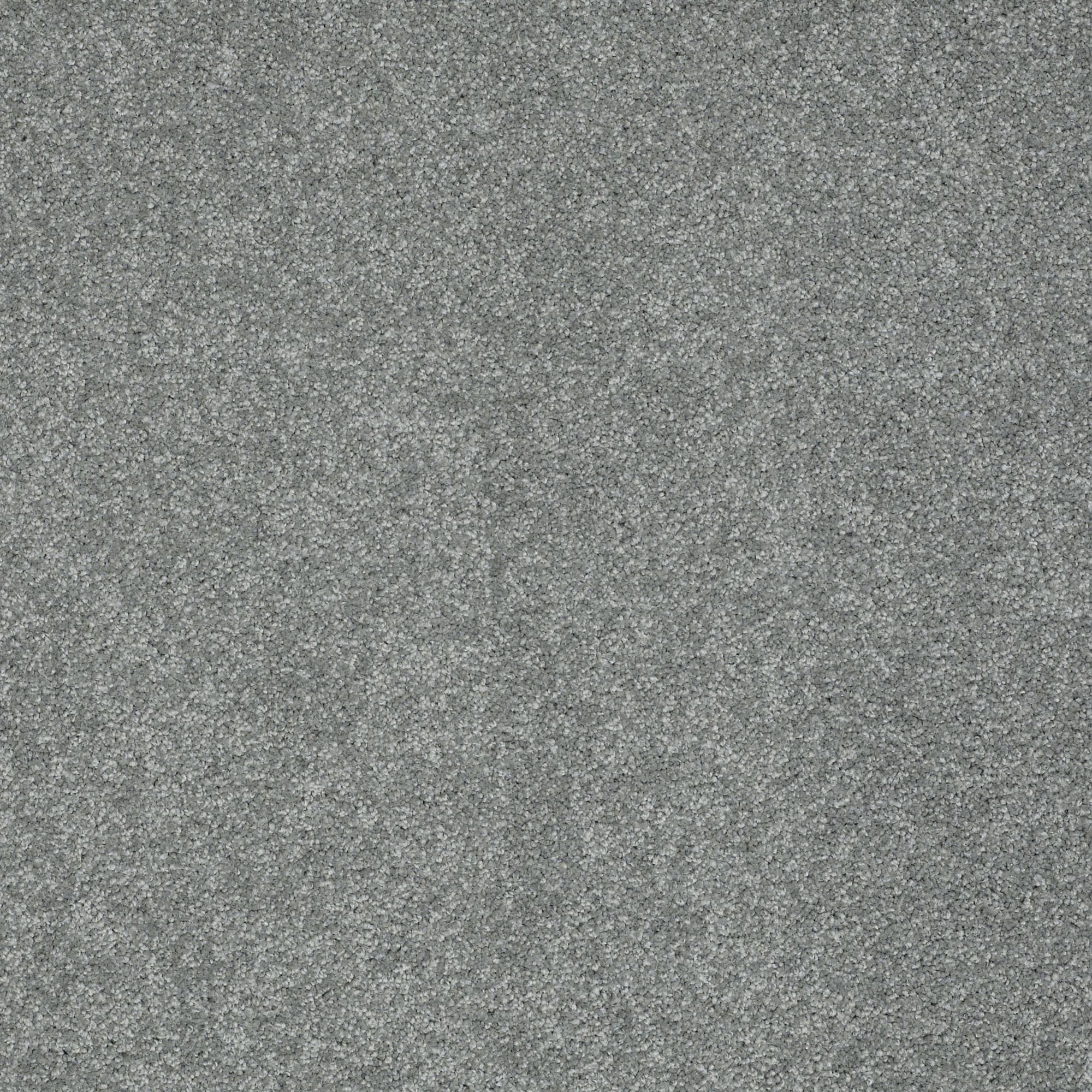 PHL.COLOR.EXPRESS.II.LG Shaw Color Express II LG Carpet-1