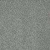 PHL.COLOR.EXPRESS.II.LG Shaw Color Express II LG Carpet