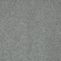 PHL.COLOR.EXPRESS.II.LG Shaw Color Express II LG Carpet