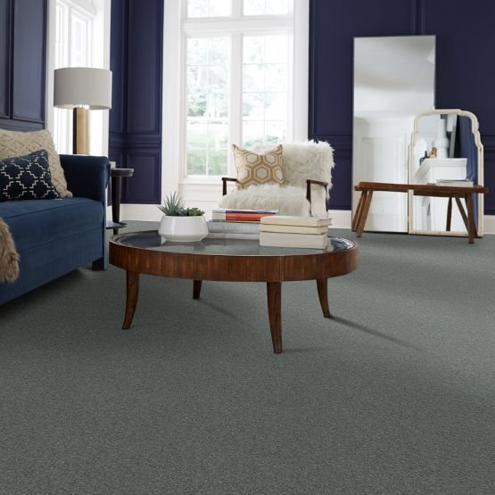PHL.COLOR.EXPRESS.II.LG Shaw Color Express II LG Carpet-2