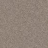 PHL.COLOR.EXPRESS.TONAL.I Shaw Color Express Tonal I Carpet