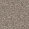 PHL.COLOR.EXPRESS.TONAL.I Shaw Color Express Tonal I Carpet