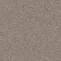 PHL.COLOR.EXPRESS.TONAL.I Shaw Color Express Tonal I Carpet