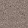 PHL.COLOR.EXPRESS.TONAL.II Shaw Color Express Tonal II Carpet