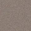 PHL.COLOR.EXPRESS.TONAL.II Shaw Color Express Tonal II Carpet
