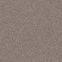 PHL.COLOR.EXPRESS.TONAL.II Shaw Color Express Tonal II Carpet