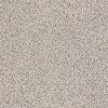 PHL.COLOR.EXPRESS.ACCENT.I Shaw Color Express Accent I Carpet