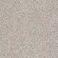 PHL.COLOR.EXPRESS.ACCENT.I Shaw Color Express Accent I Carpet